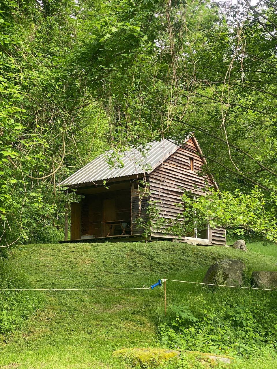 Cabane dans la forêt